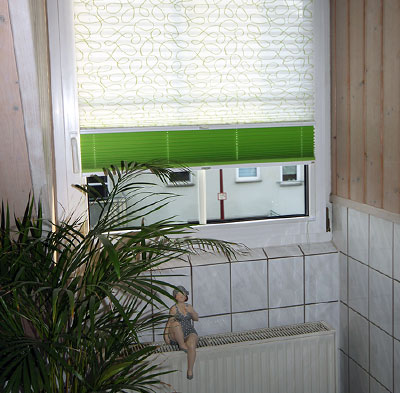 Plissee kaufen